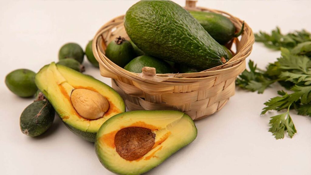 avocado fruit
